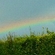 レインボー。 レインボー。