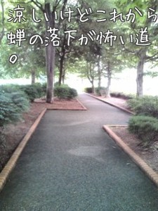 m_201006281559094c28483d018d4.jpg（240px × 320px）