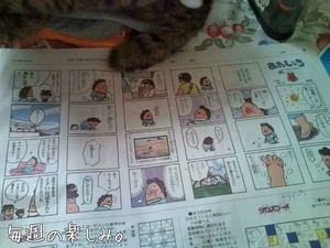 m_201007041044164c2fe770ba7ca.jpg（640px × 480px）