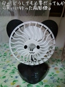 m_201007100410204c37741c63590.jpg（480px × 640px）