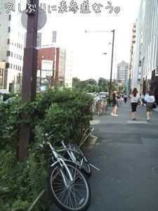 m_201007141714184c3d71da0671f.jpg（480px × 640px）