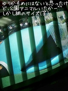 m_201007152054164c3ef6e8ad758.jpg（480px × 640px）