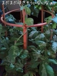 m_201007230558314c48b0f71f3d6.jpg（480px × 640px）