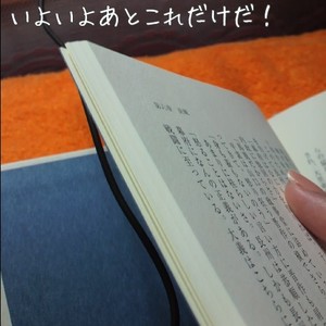 m_201008250249494c74063d0e86f.jpg（480px × 480px）