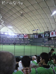 m_201008291506504c79f8facdc8c.jpg（480px × 640px）