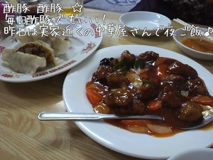 m_201011271212304cf0771e10d89.jpg（640px × 480px）