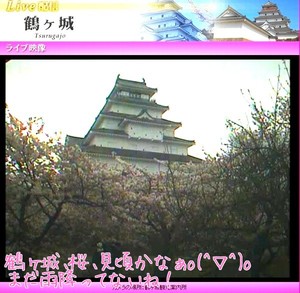 m_201104230746584db205622ffc4.jpg（600px × 585px）