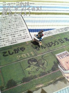 m_201108060002534e3c061def9d1.jpg（477px × 640px）