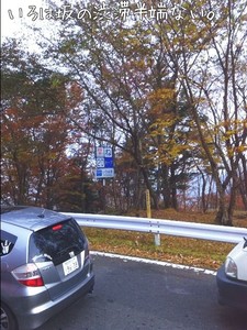 m_201111051501474eb4d14b28ec8.jpg（480px × 640px）