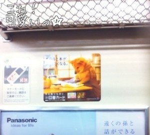 m_201112020835304ed80f4212b25.jpg（320px × 288px）