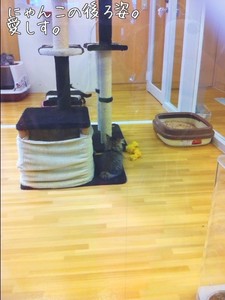 m_201205312341514fc7832f9575c.jpg（480px × 640px）