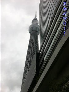 m_201206161053144fdbe70a0a60a.jpg（478px × 640px）