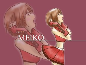 meiko-640.jpg