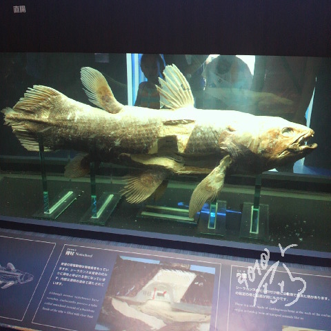 20220925153224.jpg 20220925153224.jpg